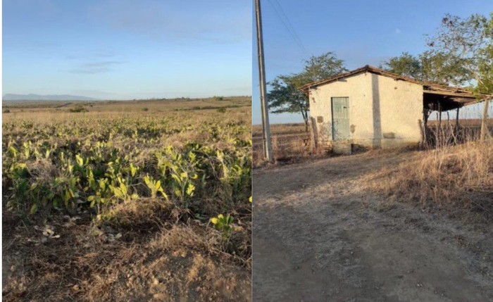 Um dos itens do leilão da Justiça de Alagoas é um imóvel rural localizado em Major Izidoro Um dos itens do leilão da Justiça de Alagoas é um imóvel rural localizado em Major Izidoro