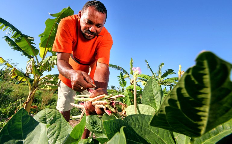 Filme mostra dia-a-dia de agricultor no Canal do Sertão alagoano