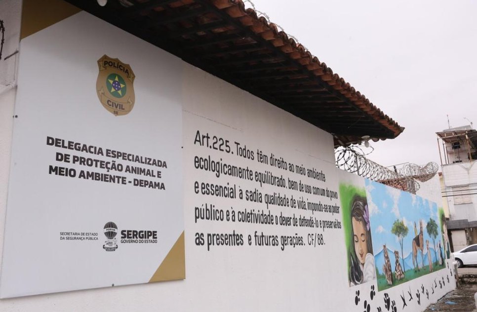 depama4-2 / Foto: Foto: SSP/SE