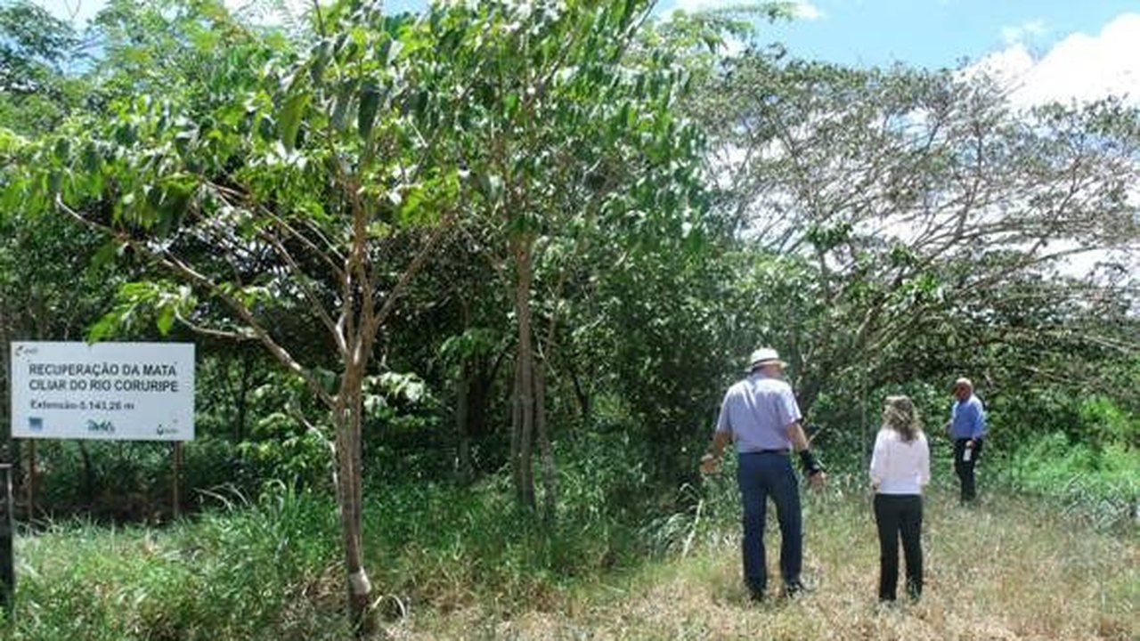 Área de recomposição da mata ciliar é inspecionada pelo IMA e MP