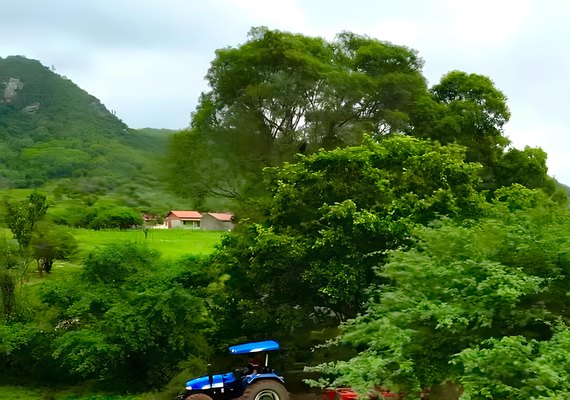 Prefeitura de Pão de Açúcar fortalece agricultura familiar com Programa de Aração de Terras