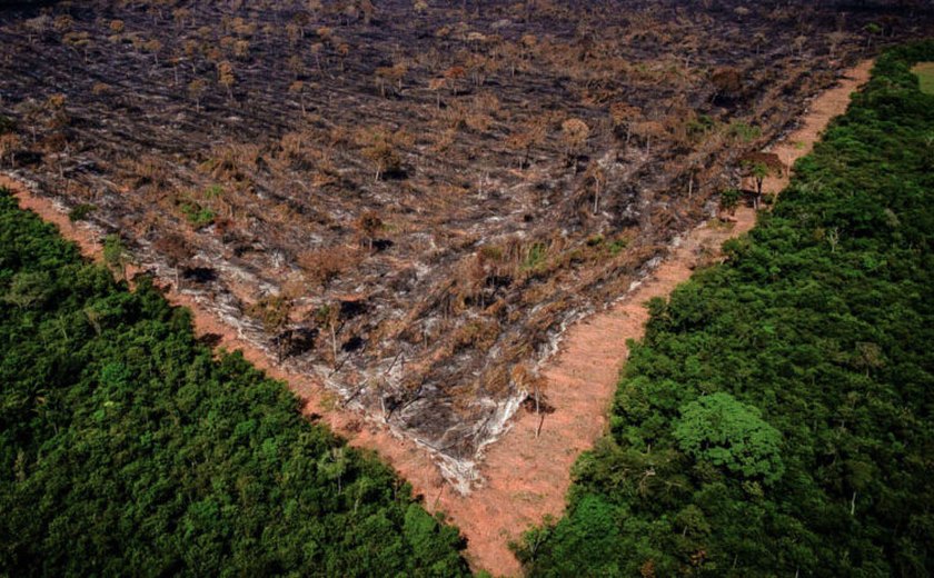 Com orçamento reduzido para o meio-ambiente, Brasil responde por 40% do desmatamento no mundo