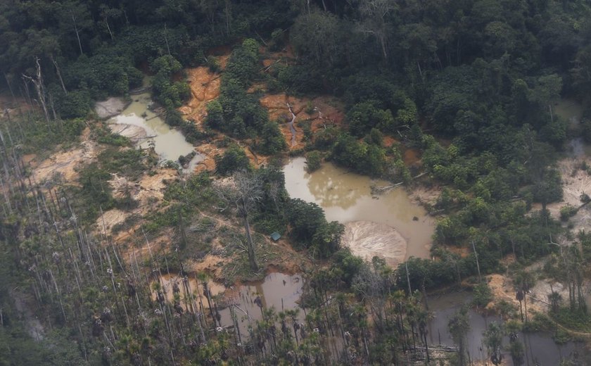 Operação prende garimpeiros ilegais na Terra Indígena Yanomami