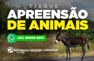 Piaçabuçu lança Campanha para Redução de Acidentes em rodovias envolvendo animais no município