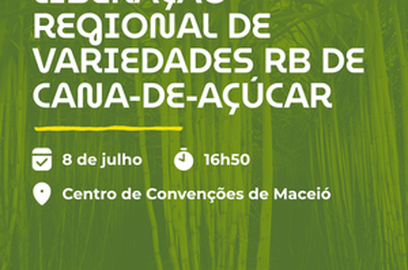 Setor sucroenergético ganha novas variedades de cana com participação da Ufal