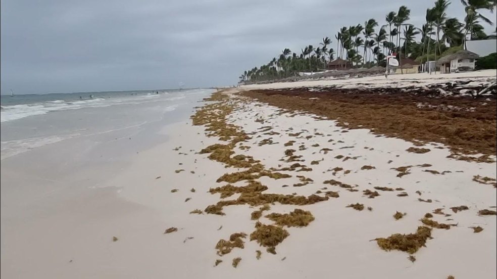 Quatro trechos do litoral sul de Alagoas estão impróprios para banho, aponta boletim do IMA
