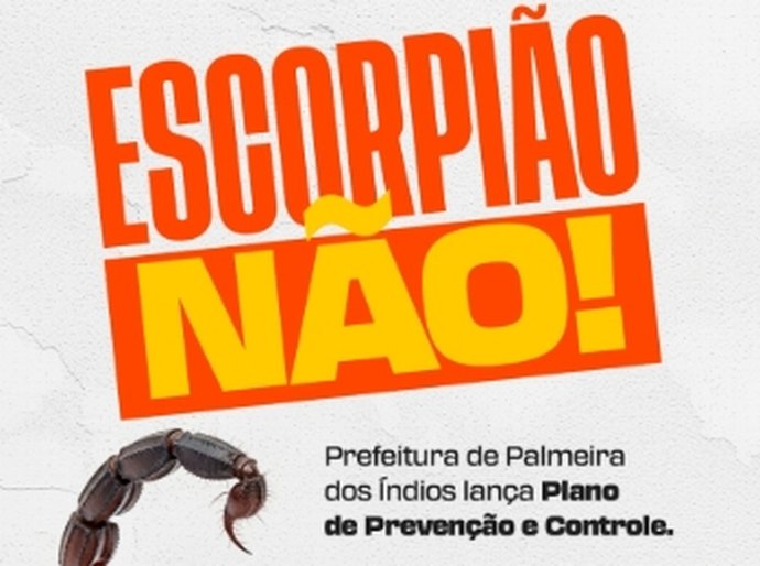 Prefeitura lança Plano de Ação para Prevenção e Controle de Escorpiões em Palmeira