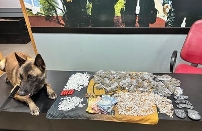 PM apreende cerca de 2.000 pedras de crack, munições e outras drogas em Palmeira dos Índios