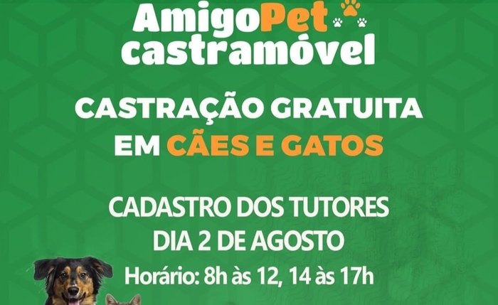 Animais serão atendidos conforme o cronograma