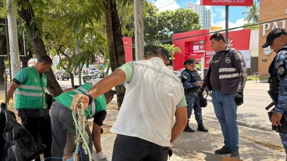 Segurança Cidadã remove construções irregulares no Farol e Mangabeiras