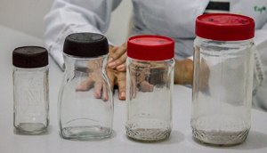 POTES DE VIDRO / Foto: Ascom/SES