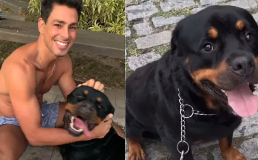 Cauã Reymond lamenta morte de cachorro por envenenamento