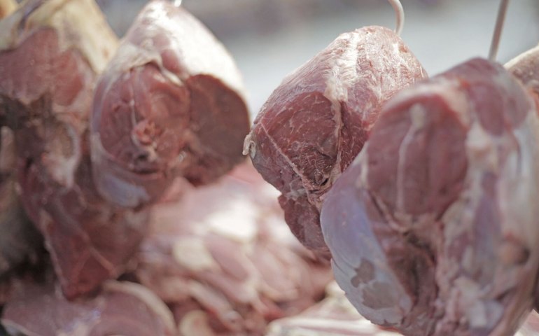 Produção e exportações de carne do Brasil devem bater recorde em 2026, projeta Conab