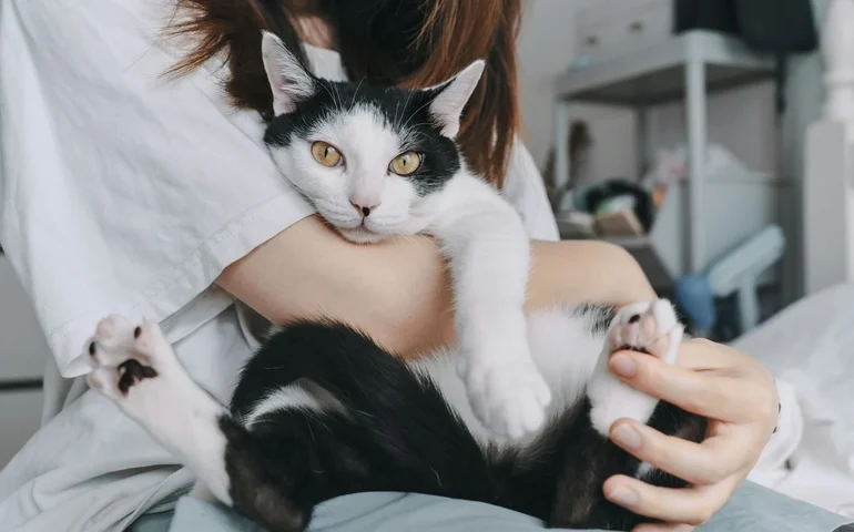 Relação entre tutor e pet vai além de comandos