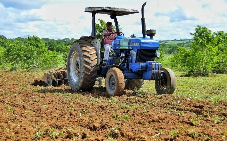 Abertas as inscrições para o Programa Terra Arada 2023 em Palmeira dos Índios