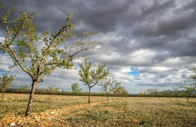 SNF inicia agenda de resiliência climática diante das projeções de intensificação do El Niño