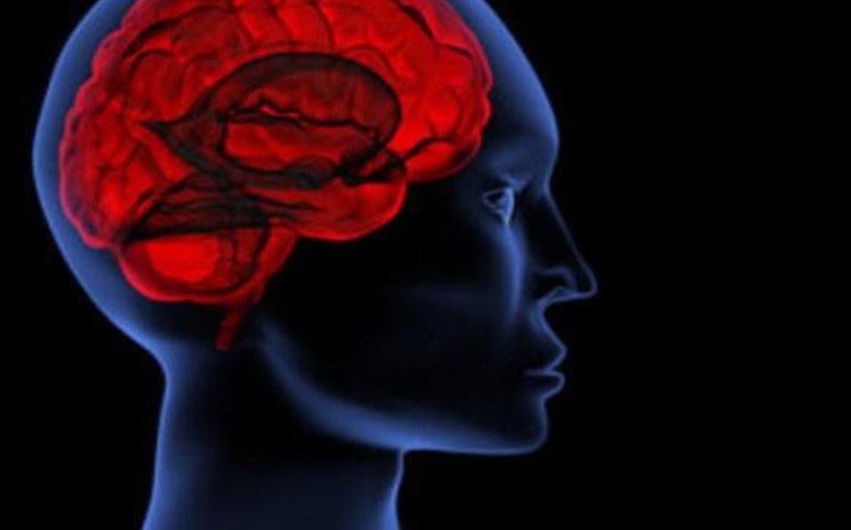 Casos de Aids caem 400% em Arapiraca