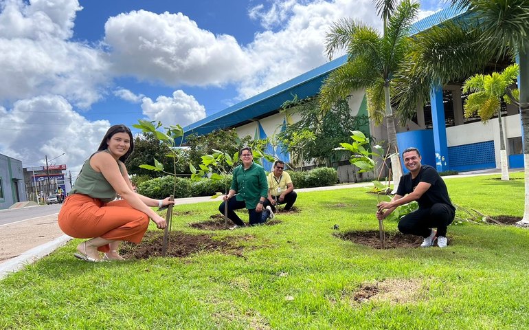 Dia do Meio Ambiente terá plantio de árvores e instalação de novas lixeiras em Arapiraca