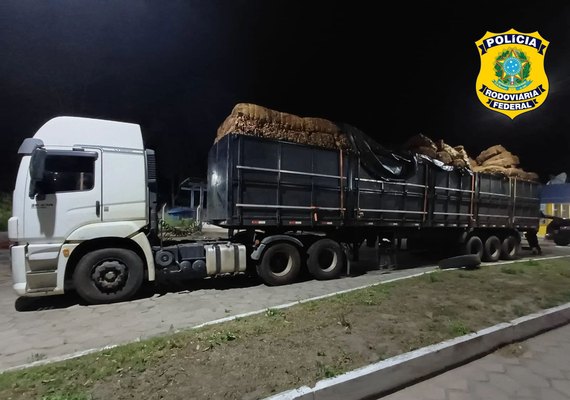 PRF apreende 27 toneladas de tabaco in natura em Teotônio Vilela, no interior de Alagoas