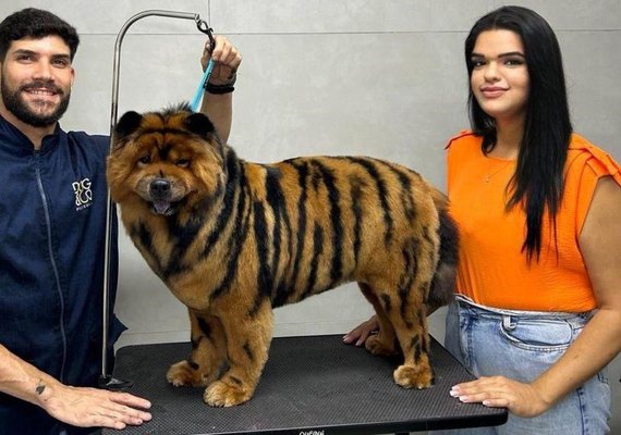 Mercado pet registra crescimento expressivo em Alagoas