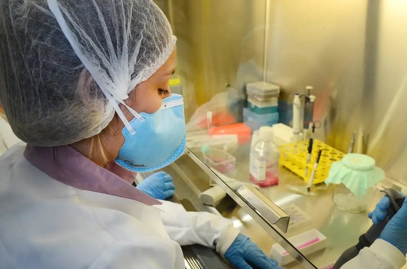 USP: pesquisa de vacina contra zika avança em testes com camundongos