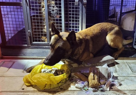 Cães do 3º BPM encontram mais de dois quilos de entorpecentes em Arapiraca