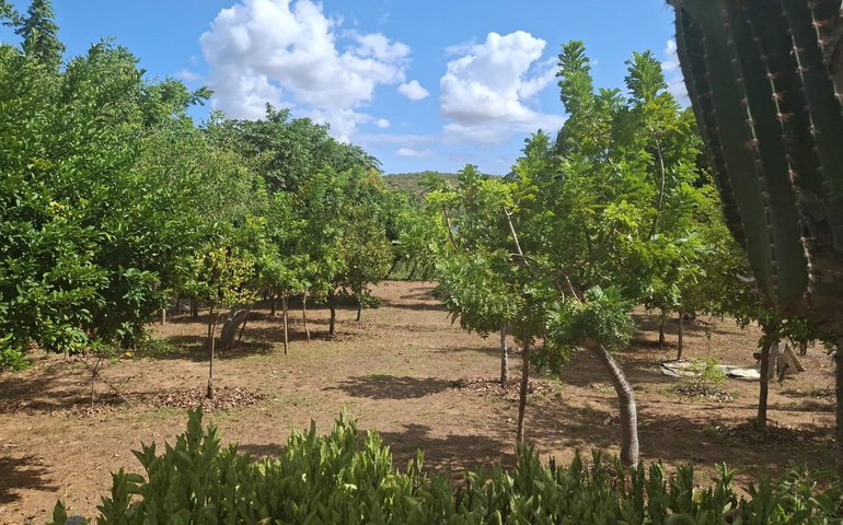 Técnicos do IMA visitam RPPNs selecionadas no Programa Estadual de Pagamento por Serviços Ambientais