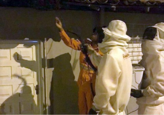 Homem morre após ataque de abelhas em Lagarto (SE)