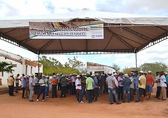 Emater lança prêmio para incentivar a produção de grãos