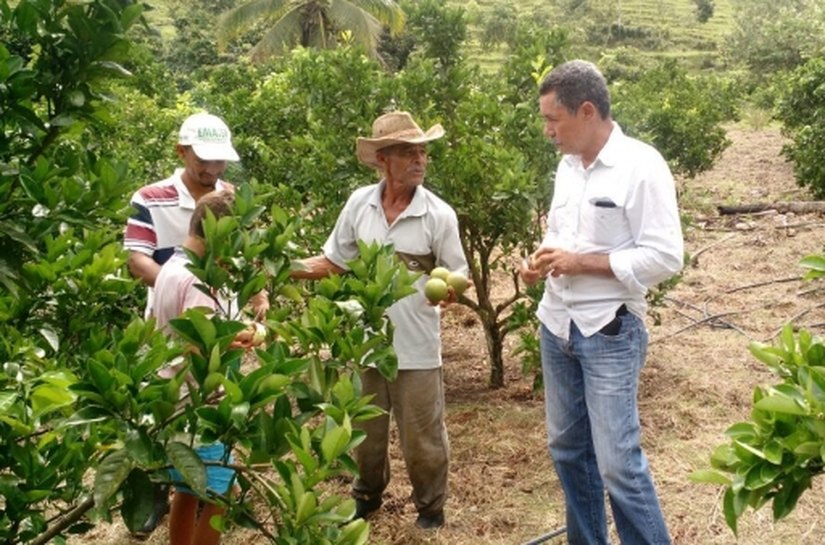 Agricultores familiares vão conhecer unidade de fruticultura orgânica