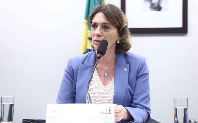 Comissão aprova projeto que determina divulgação on-line de dados sobre veículos apreendidos