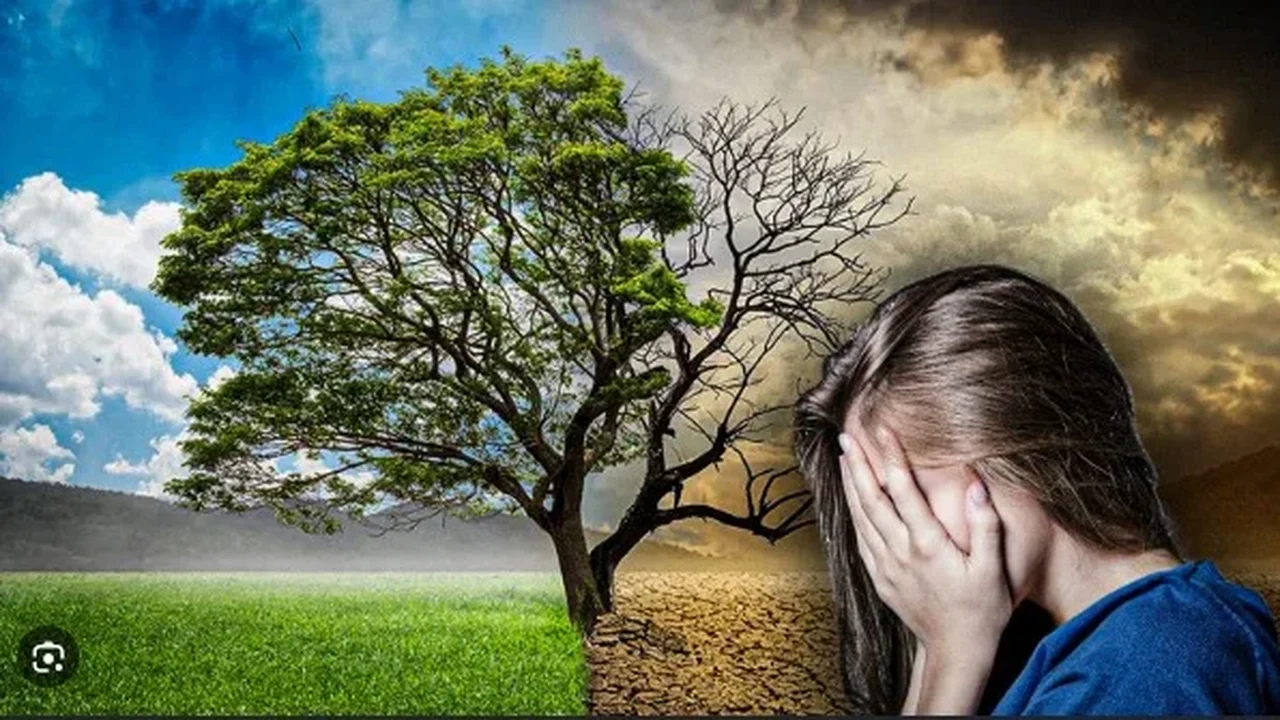 Ecoansiedade: Quando a preocupação com o planeta e as mudanças climáticas viram estresse crônico