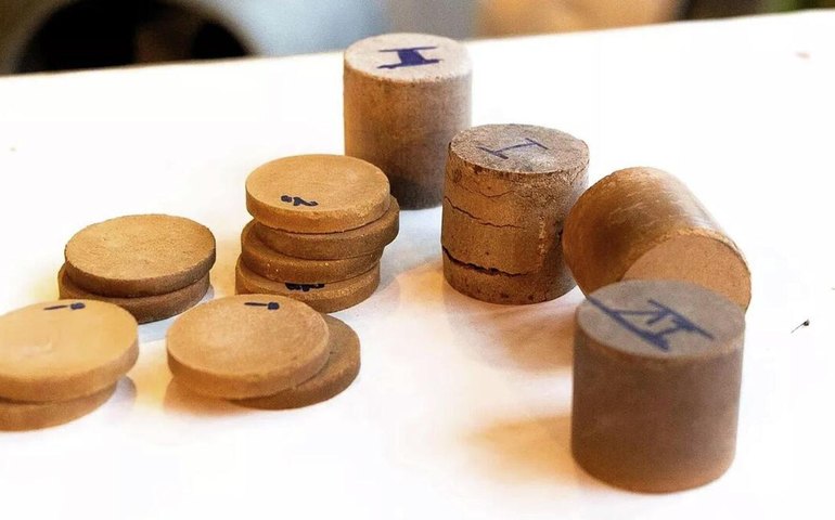 Natureza como escudo: cientistas criam proteção 'natural' contra radiação (IMAGENS)