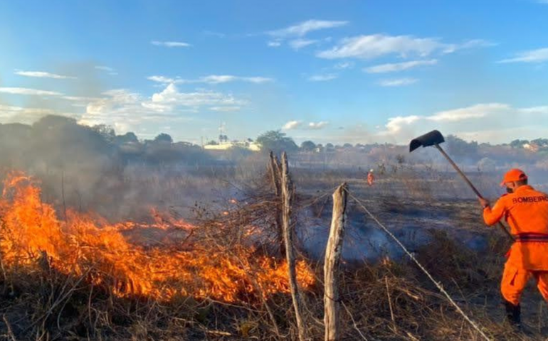 Corpo de Bombeiros atua no combate ao fogo em vegetação