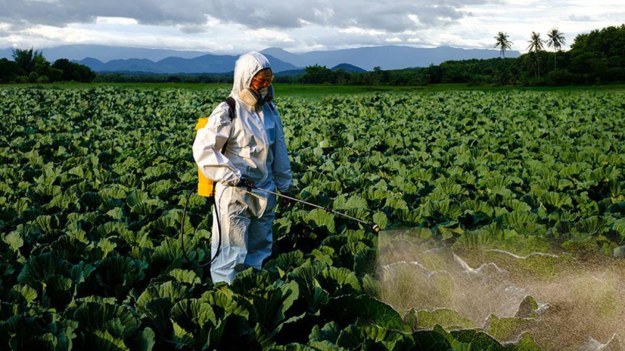 Pulverização de agrotóxicos e violação de direito à saúde serão debatidos na CDH