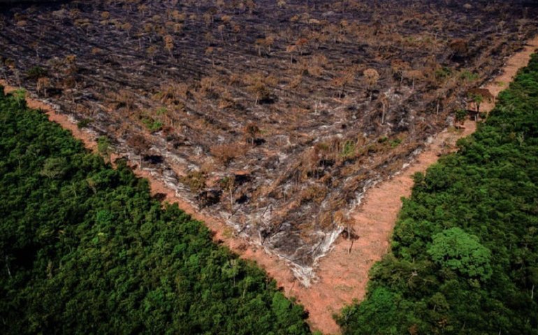 Como as empresas se uniram contra as polêmicas federais