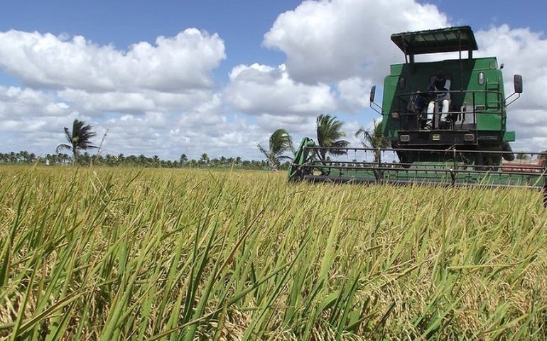 Projetos de Irrigação da Codevasf em Alagoas injetaram R$ 57,6 milhões na economia local em 2024