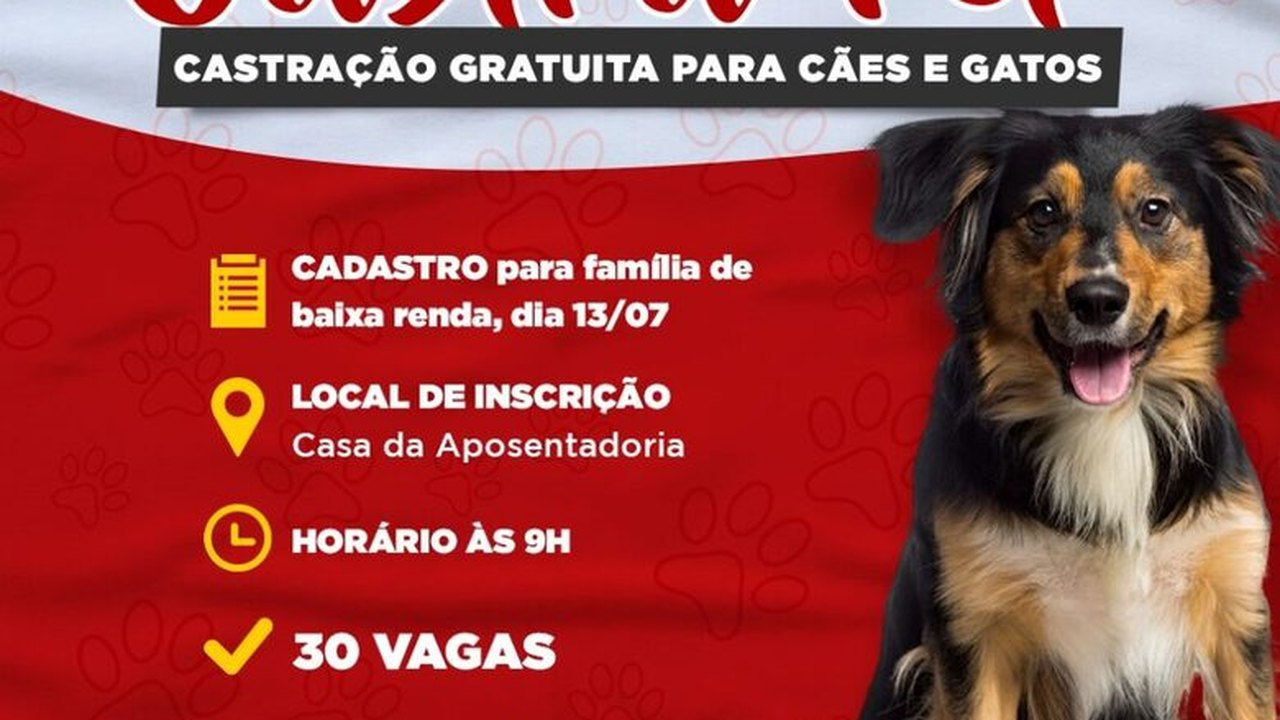 Programa Castrapet abre novo cadastro nesta quarta-feira, 13, em Penedo