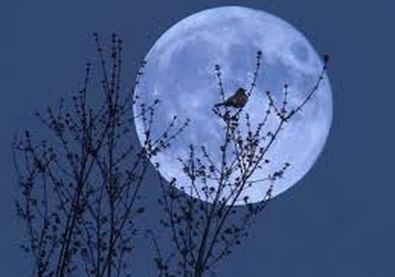 Lua azul ocorre hoje, dia 31