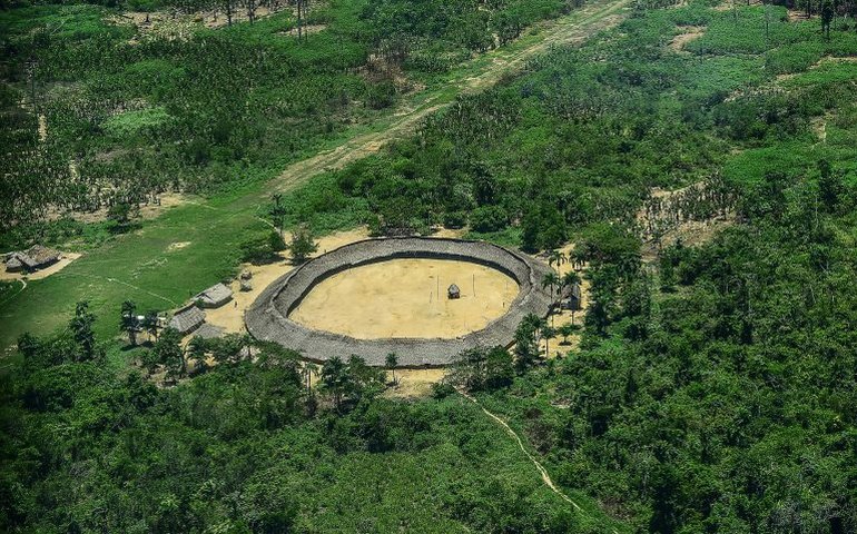 Comissão da Amazônia e dos Povos Originários e Tradicionais debate questões relacionadas ao agroindígena