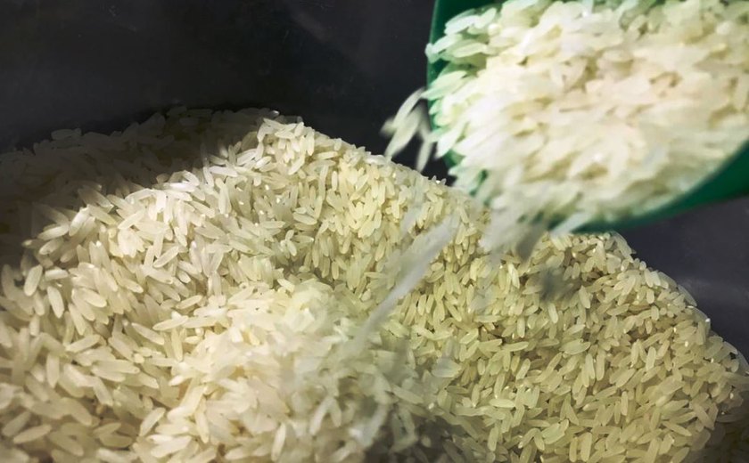 Governo suspende a tarifa de importação do arroz até dezembro
