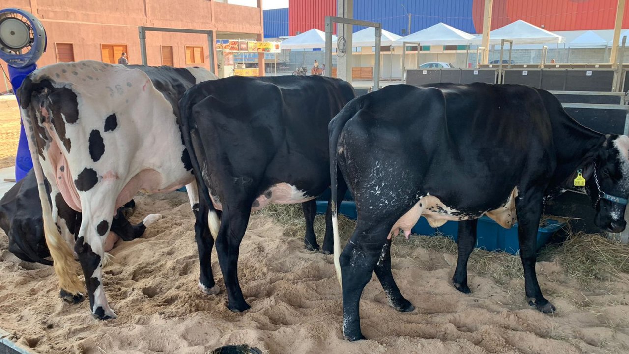 Parque da Pecuária abre portões para a 72ª Expoagro Alagoas neste sábado (22)