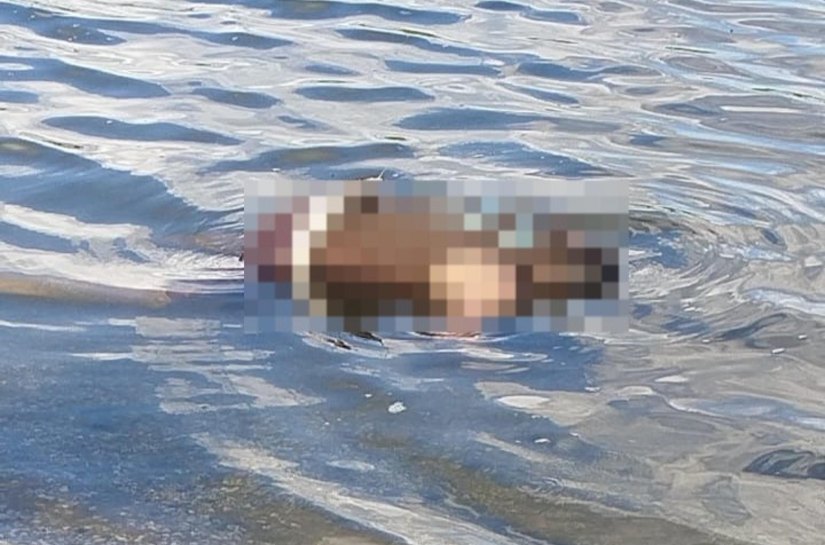 PC investiga morte de jovem encontrado com marcas de tiros no Vergel do Lago