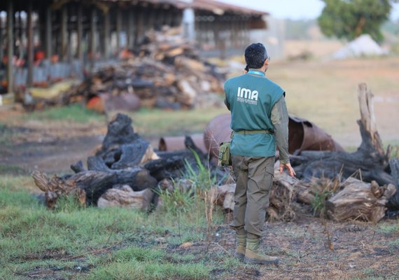 IMA identifica irregularidades em granjas clandestinas do Agreste durante a FPI