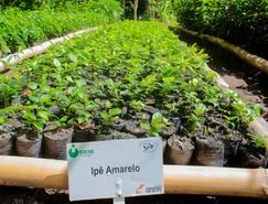 WhatsApp Image 2025-12-04 at 15.26.59.jpeg 