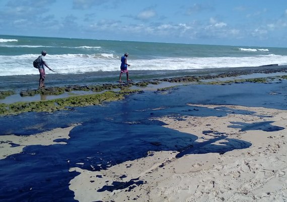 Assembleia discute derramamento de óleo nas praias do Nordeste