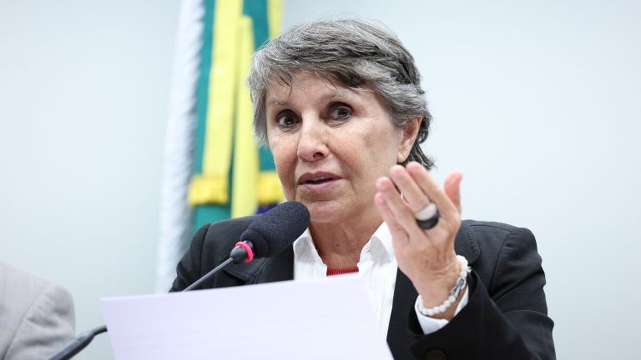 Comissão debate a pauta da infância e da adolescência nas eleições de 2026; participe