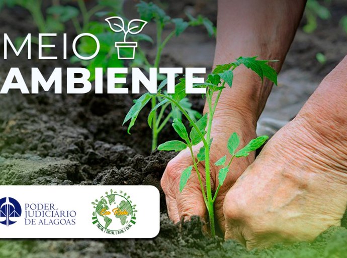 Eco Rede: servidores do TJAL podem se inscrever em cursos com a temática ambiental