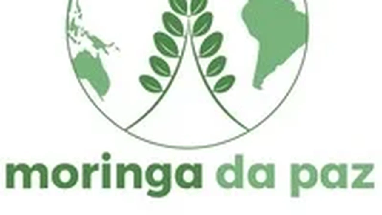 Anvisa proíbe lotes de cafés e chás da marca Moringa da Paz