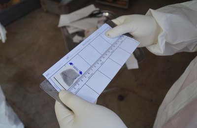 IML de Maceió identifica corpo encontrado na mata da Gilda em Ipioca